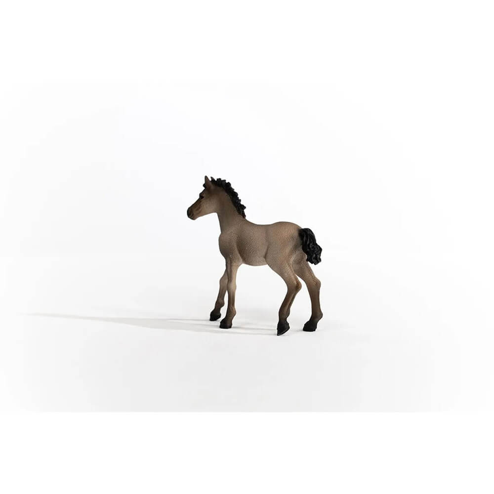 Schleich Horse Club Criollo Definitivo Foal (13949)