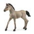 Schleich Horse Club Criollo Definitivo Foal (13949)