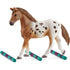 Schleich Horse Club Lisa’s Tournament Training Playset