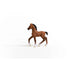 Schleich Horse Club Oldenburg Foal (13947)