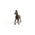 Schleich Horse Club Oldenburg Stallion (13946)