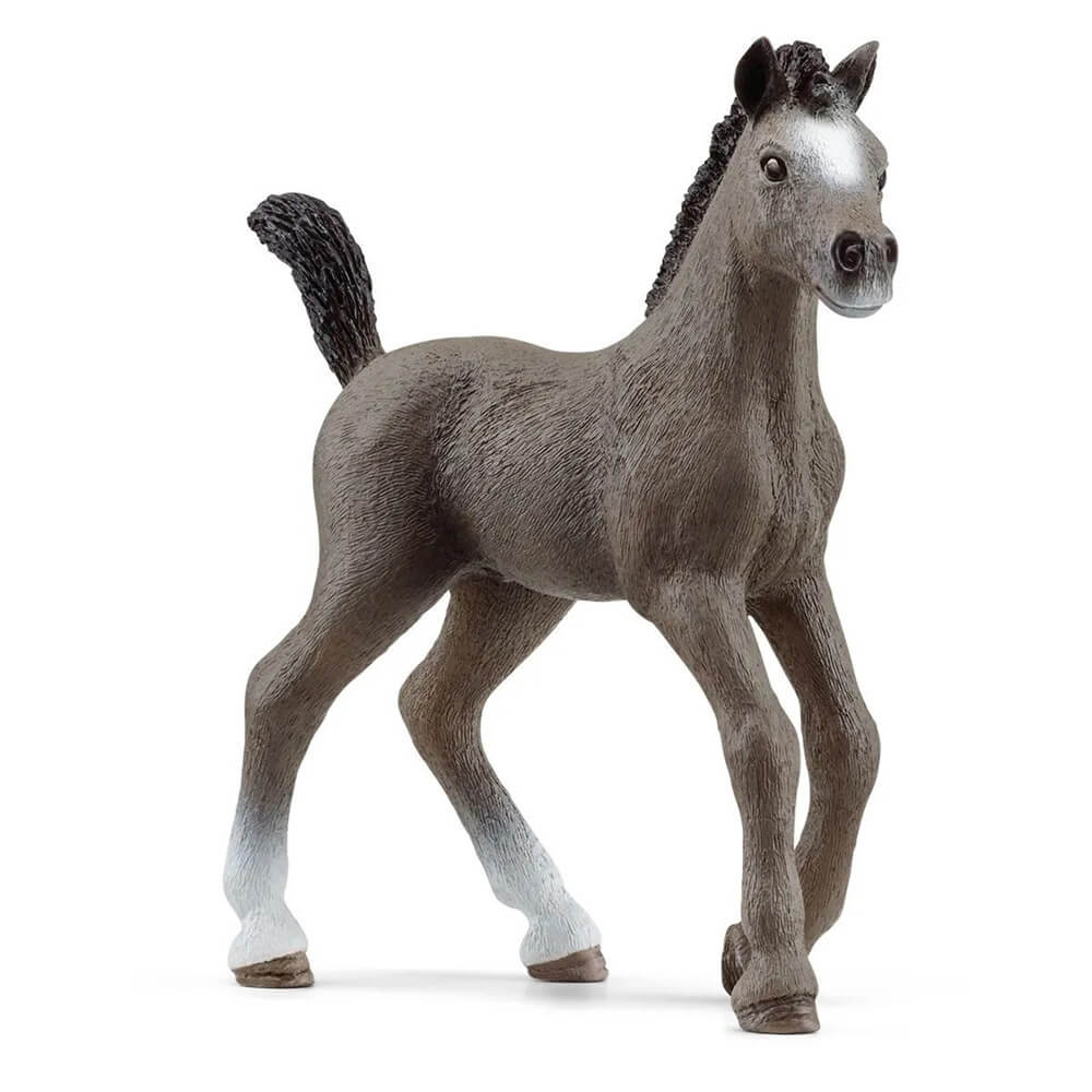 Schleich Horse Club Selle Français Foal (13957)