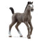 Schleich Horse Club Selle Français Foal (13957)