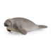 Schleich Wild Life Manatee Animal Figure (14839)