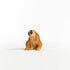 Schleich Wild Life Slow Loris