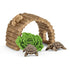 Schleich Wild Life Tortoise Home Playset