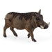 Schleich Wild Life Warthog Animal Figure (14843)