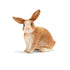 Schleich Farm World Rabbit Animal Figure