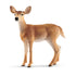 Schleich Wild Life White Tailed Doe Animal Figure