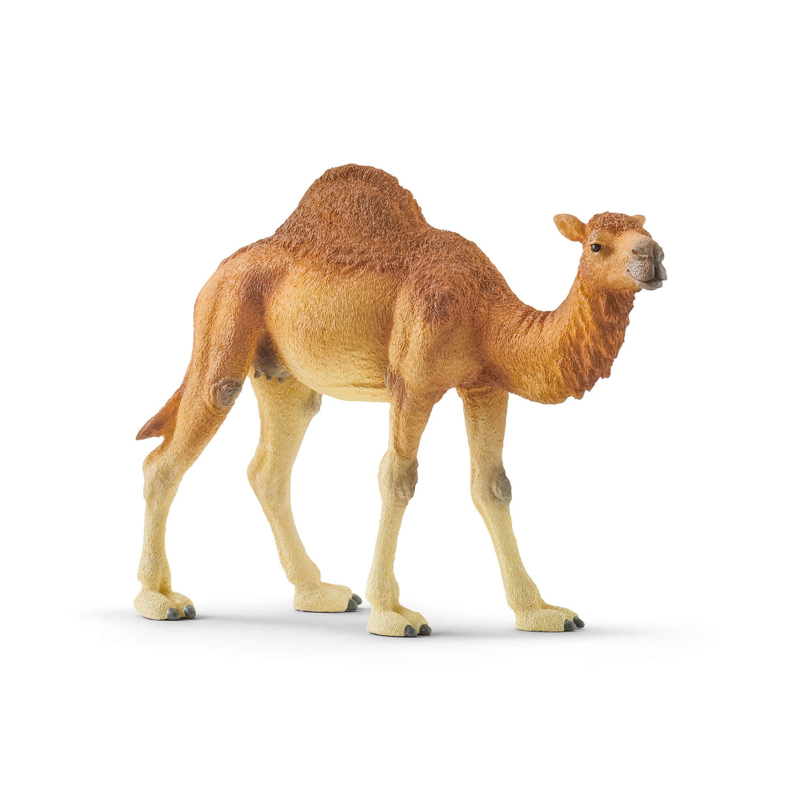 Schleich Wild Life Dromedary Animal Figure