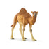 Schleich Wild Life Dromedary Animal Figure