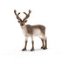 Schleich Wild Life Reindeer Animal Figure