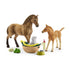 Schleich Horse Club Horse Club Sarah’s Baby Animal Care Play Set