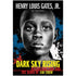 Dark Sky Rising Reconstruction and the Dawn of Jim Crow