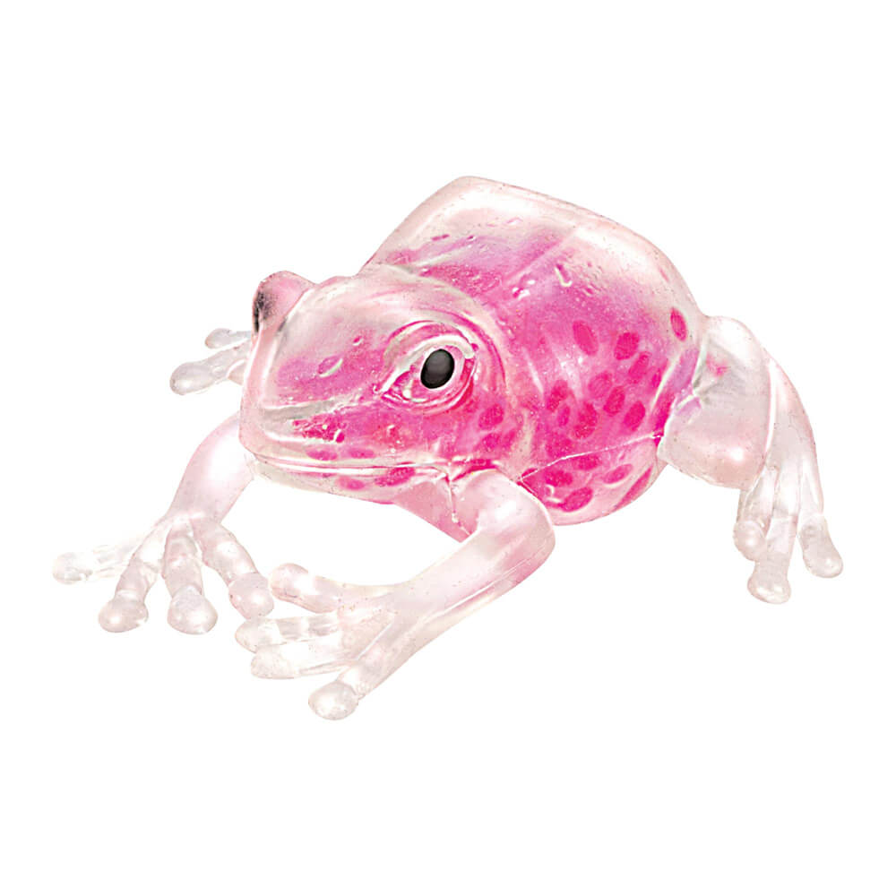 Schylling Squish the Frog Fidget Toy