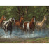 Springbok Summer Creek 500 Piece Jigsaw Puzzle