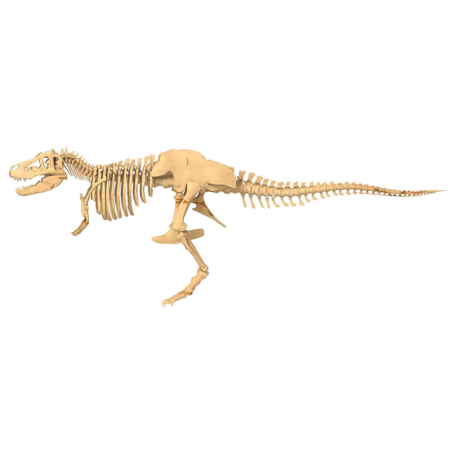 Thames and Kosmos Giant Dinosaur Skeleton Kit