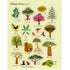 Usborne First Sticker Book Trees