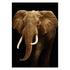 Wild Republic 3D Magnet Elephant