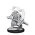 Wizkids D&D Nolzur's Marvelous Miniatures Dwarf Cleric Male