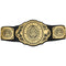 WWE Live Action Intercontinental Championship Belt